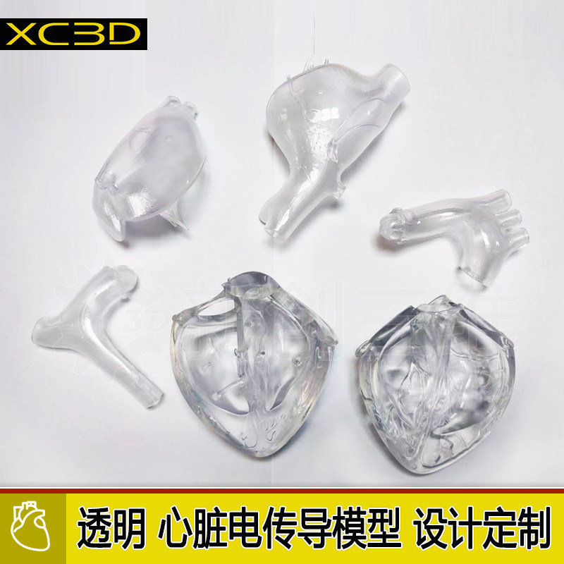 可拆装心脏左心房血管模型射频消融透明左心耳封堵术1比1股动脉穿
