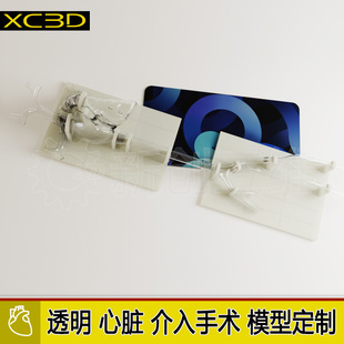 透明可拆卸心脏肺动脉模型血栓抽吸导管下肢静脉血管模型器械介入