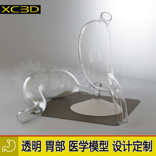 胃镜训练胃模型3D打印定制教具
