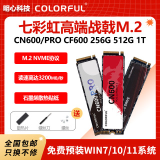 Colorful/七彩虹 CN600 512G 256G 1T战戟M.2 nvme电脑固态硬盘