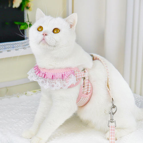 猫咪牵引绳宠物胸背带背
