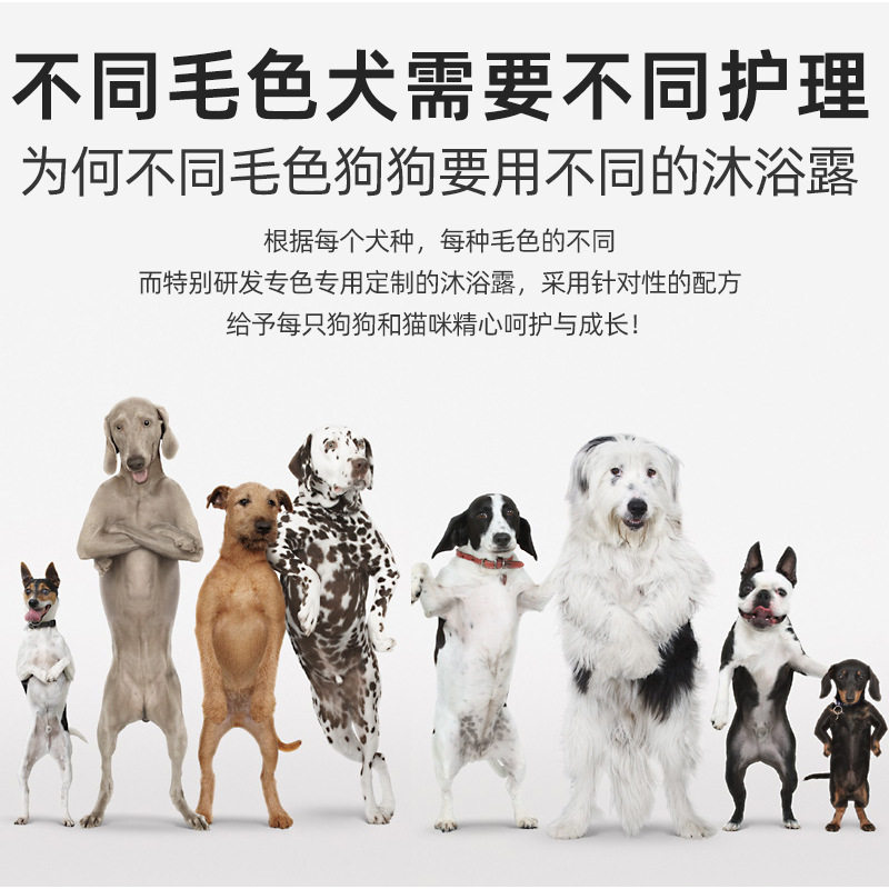 雪貂留香沐浴露宠物犬猫咪狗狗浴液香波除臭留香美护毛宠物沐浴露