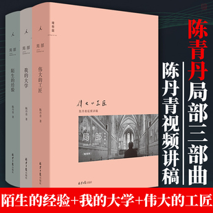 理想国 陈丹青局部 三部曲全套3册 伟大的工匠+我的大学+陌生的经验 的书视局部的讲稿集结读物私人艺术史