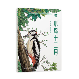 魔法象·故事森林·小书房  小鸟十二月