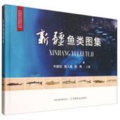 新疆鱼类图集