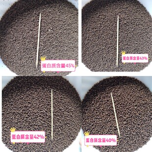 七星鱼苗料高蛋白饲料塘虱料黑鱼料鲈鱼料观赏鱼料浮水料