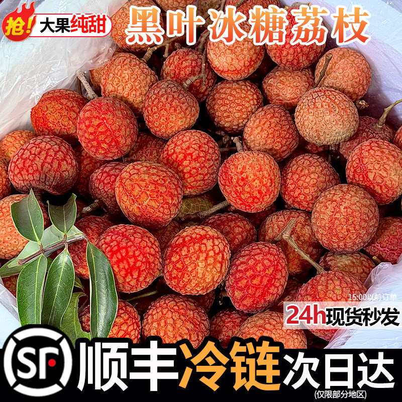 顺丰茂名现摘黑叶荔枝老树大果甜