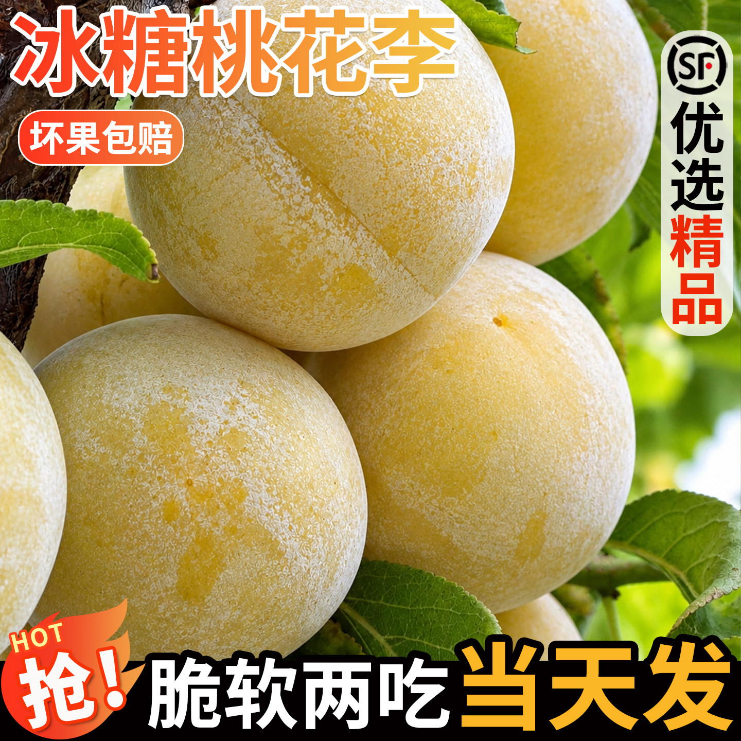 正宗四川桃花李冰糖李当季新鲜水果黄金奈李孕妇蜂糖李子整箱包邮