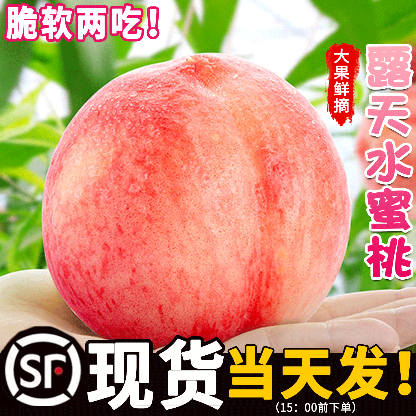 露天新鲜水蜜桃子当季整箱水果现摘软脆甜水蜜桃毛桃子血冬桃包邮