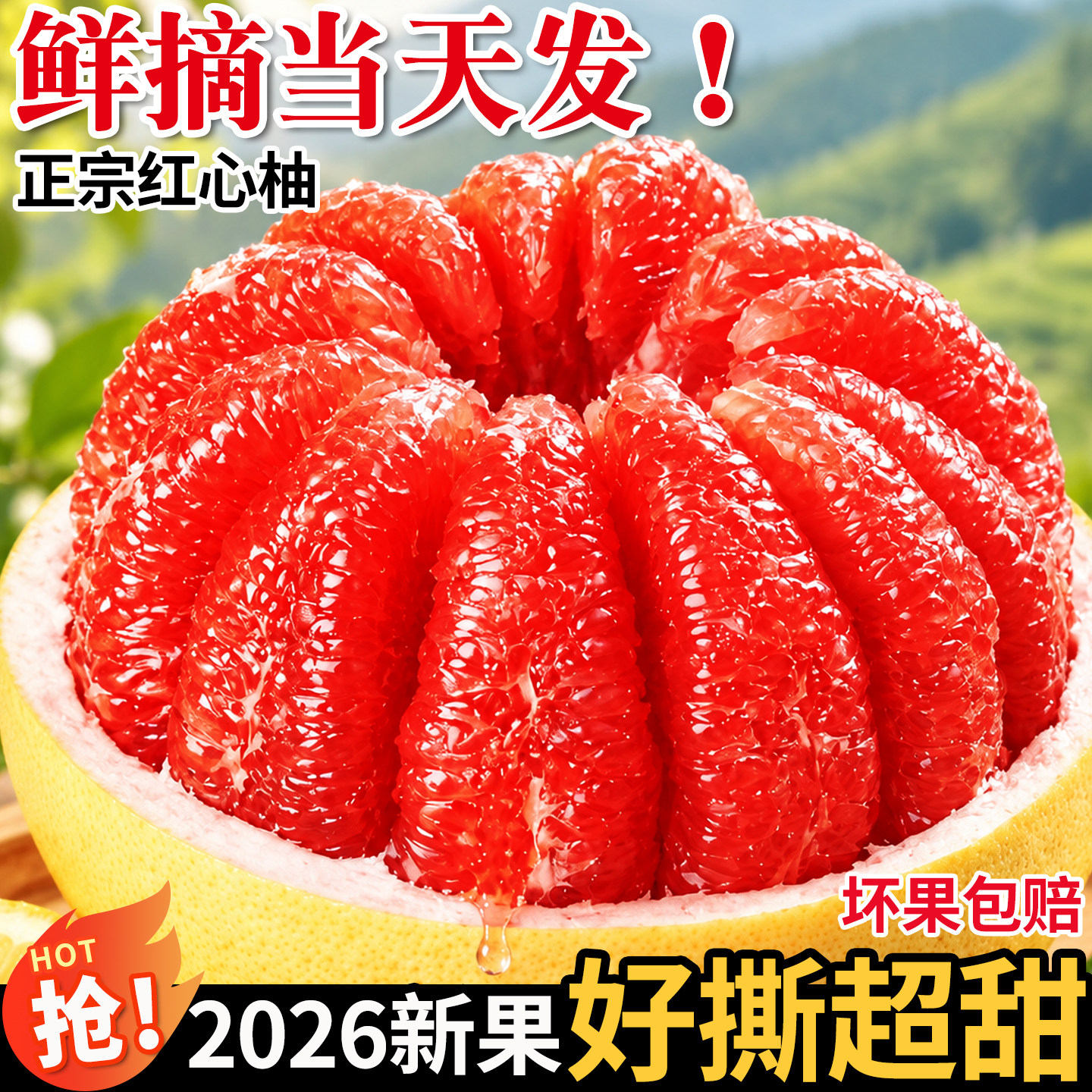 正宗福建平和红心蜜柚