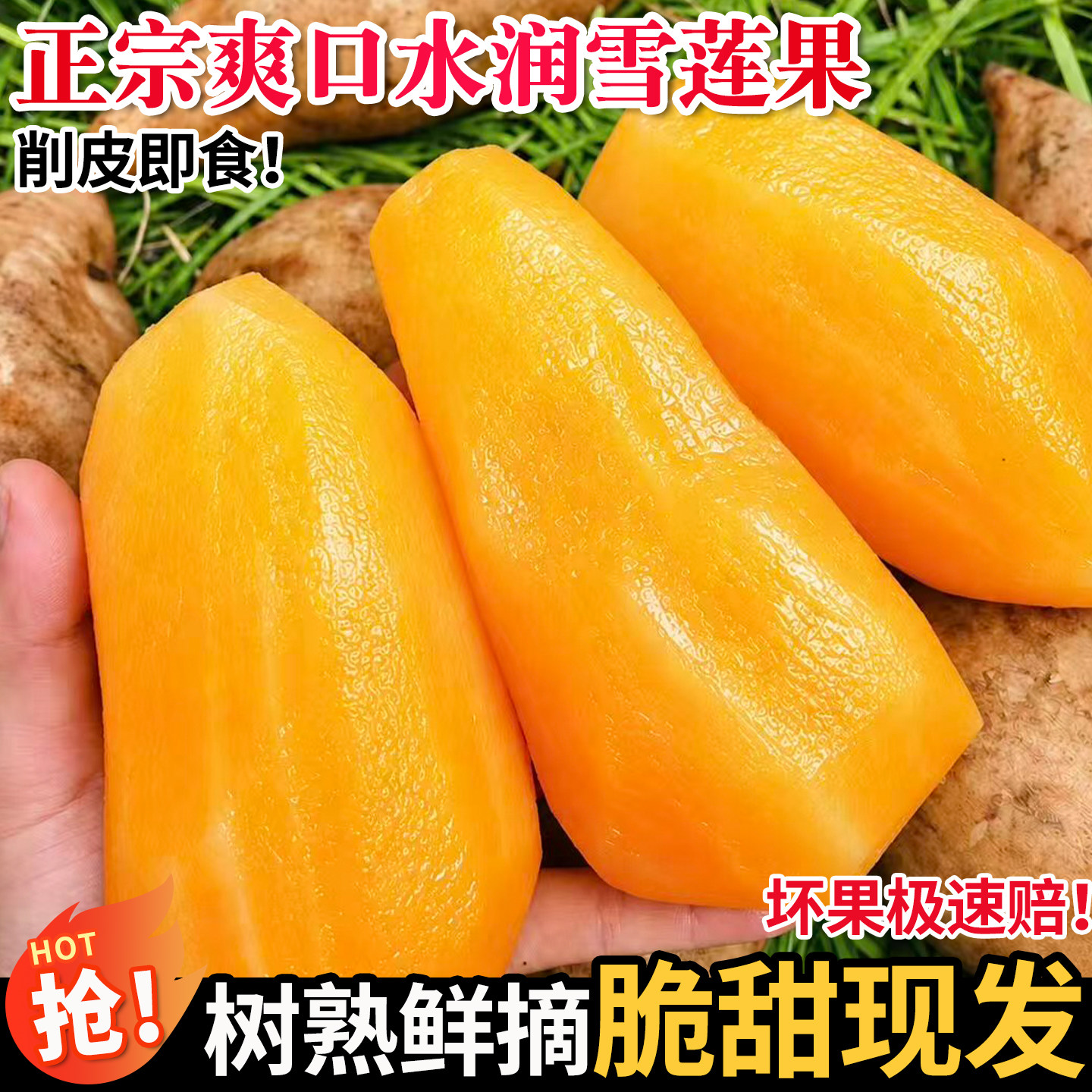 正宗云南天山雪莲果新鲜水果