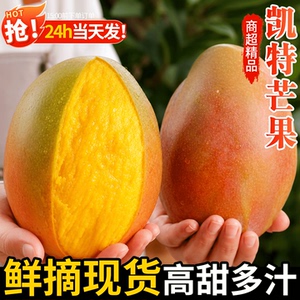 正宗攀枝花凯特芒果新鲜香甜软糯