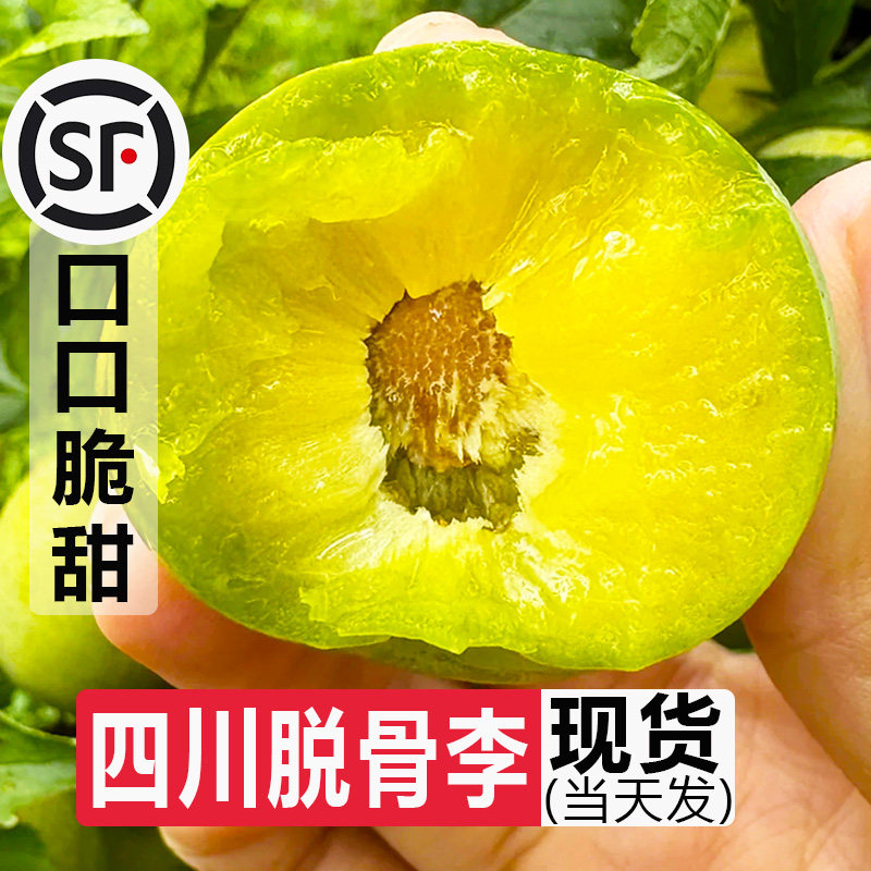 正宗四川脱骨李青脆李子大果