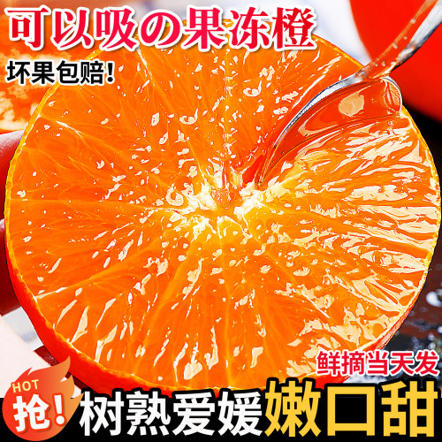 四川爱媛果冻橙38号橙子新鲜水果