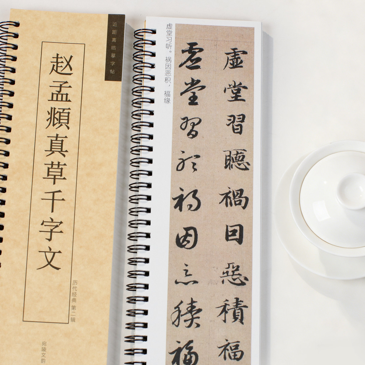 赵孟頫真草千字文临摹卡楷书草书双体原帖临帖字卡便携线圈设计成人学生毛笔书法自学入门练字帖简体注释原帖复刻还原真迹笔法细节