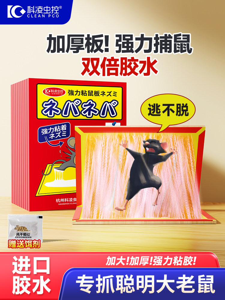 老鼠贴超强力粘鼠板胶沾粘正品家用捕老鼠灭鼠神器一窝端克耗子星