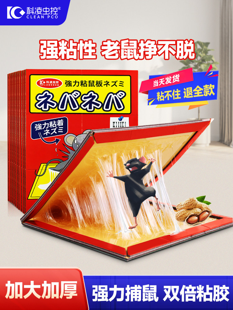 加大老鼠贴强力粘鼠板胶粘大老鼠加厚灭鼠捕鼠神器正品家用一窝端