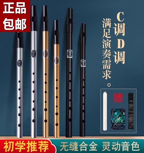 铝合金初学者成人爱尔兰哨笛
