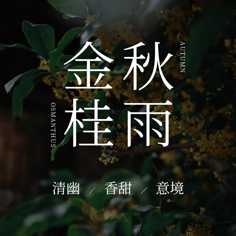 「桂花时节」香薰精油扩香石精油金桂桂花乌龙云南丹桂香薰蜡烛,洗护清洁剂/卫生巾/纸/香薰,香薰香料,淘宝优惠券,粉丝福利购,淘宝优惠卷