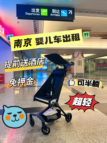 南京红山动物园夫子庙新街口童车租赁口袋车出租婴儿车
