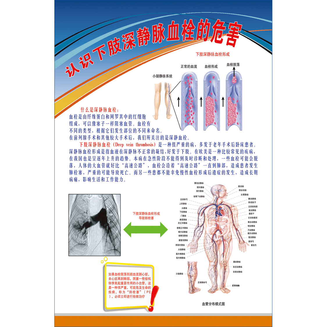 医院心脑血管高血压结构《关于下肢深静脉血栓》疾病
