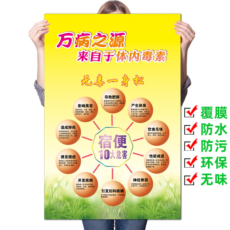 膳食营养健康便秘的十大危害宿便结肠排毒排湿海报养生广告贴纸