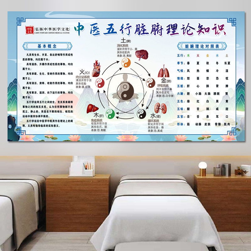 中医脏腑理论对照表墙贴人体五脏六腑挂图中医五行养生海报宣传画