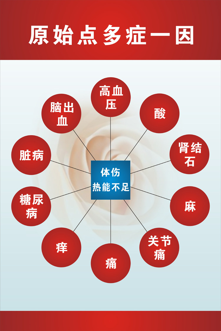 原始点多症一因 医学总论挂图 涵盖范围示意图 相关病症对照海报
