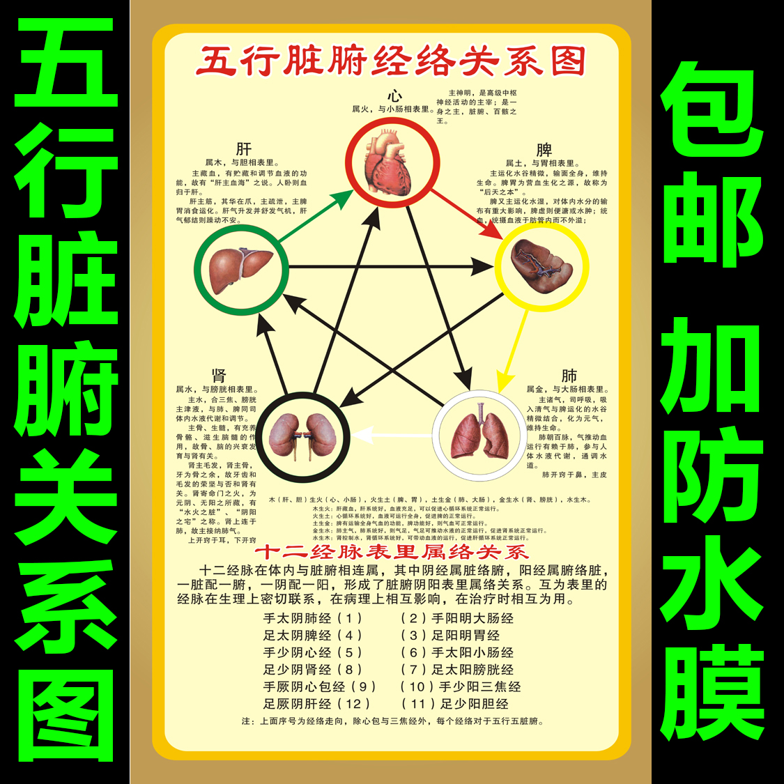 五行脏腑关系经络挂图十二时辰经脉表里属络关系中医养生墙贴挂画