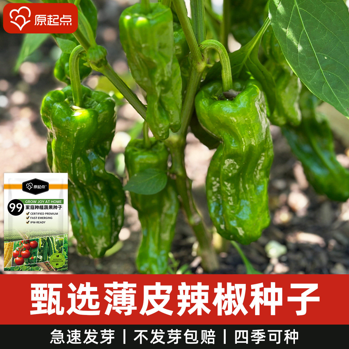 朝天椒种子小米辣种籽特辣五彩甜椒种仔四季阳台盆栽蔬菜种子大全,鲜花速递/花卉仿真/绿植园艺,家庭园艺种子,淘宝优惠券,粉丝福利购,淘宝优惠卷