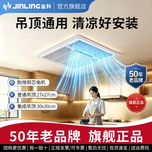 金羚凉霸厨房冷风机吹凉风电扇