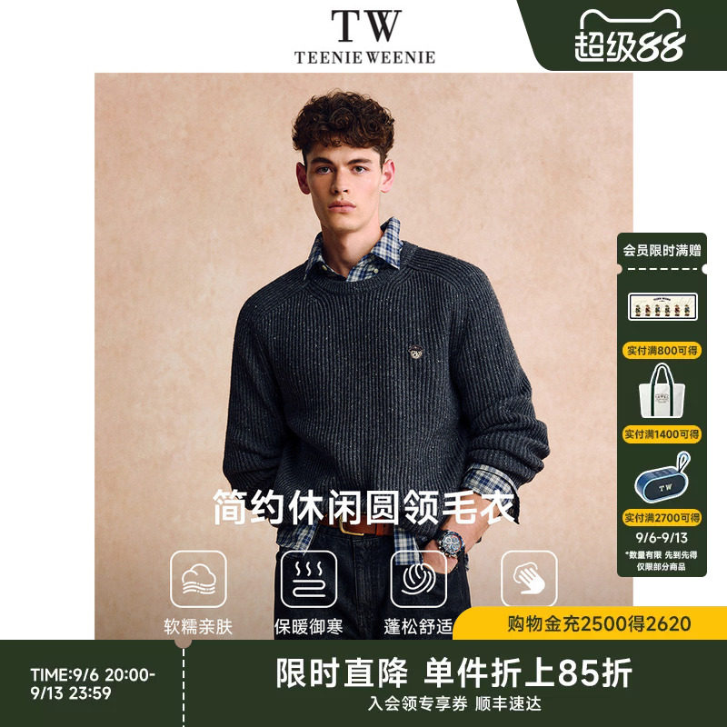 TeenieWeenie小熊男装保暖舒适通勤百搭休闲针织衫上衣毛衣男款