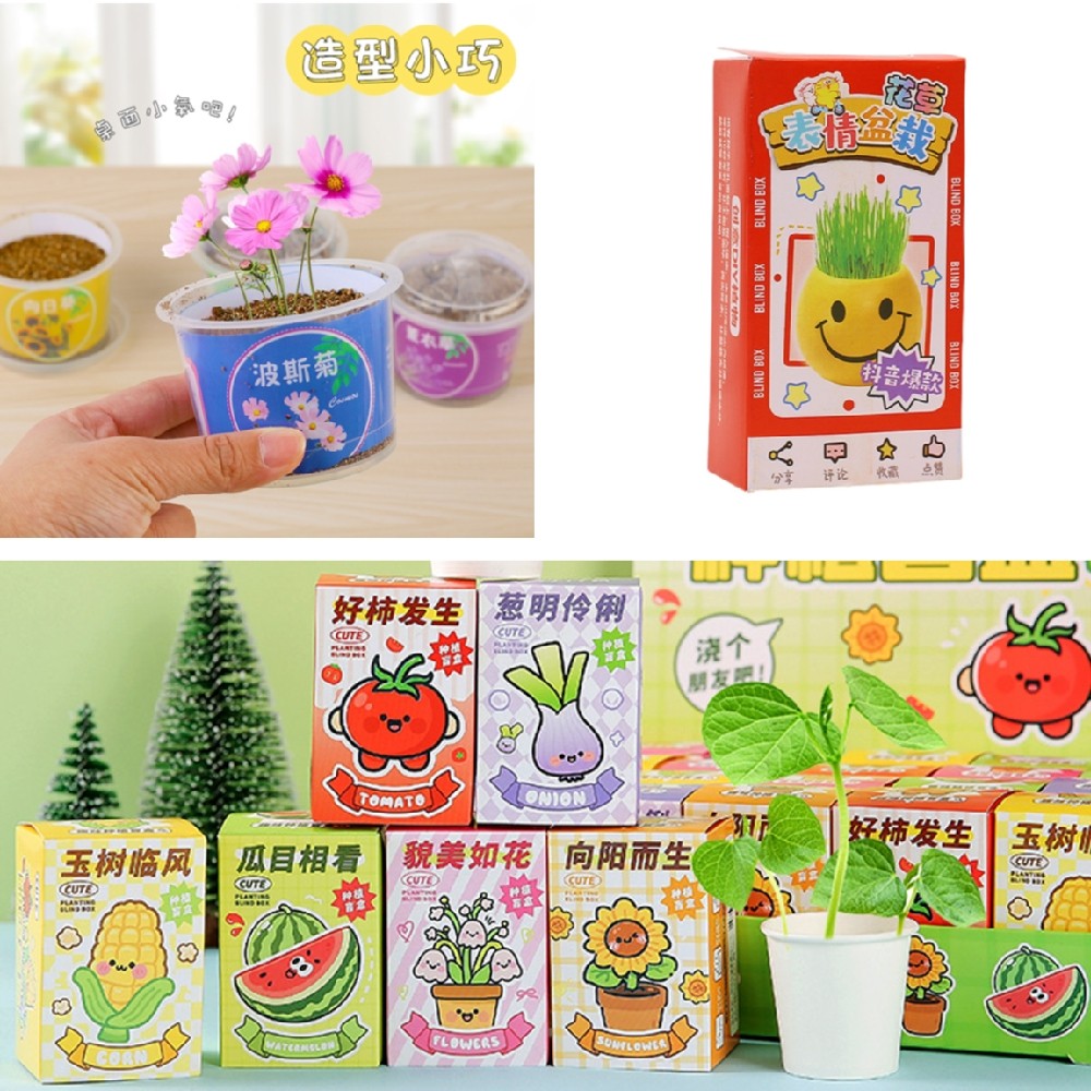 种子种植盲盒盆栽桌面摆件植物儿童幼儿园观察水果花卉批发学生,鲜花速递/花卉仿真/绿植园艺,草头娃娃,淘宝优惠券,粉丝福利购,淘宝优惠卷