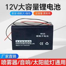 电动喷雾器电瓶电池铅酸电池锂电池12V 电瓶打药机农药机配件