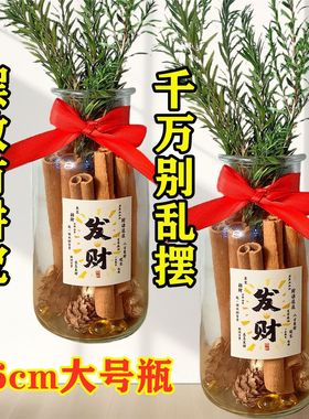 肉桂生财玻璃瓶子摆件