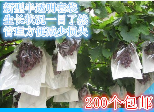Wax apple transparent grape Fruit bag Plastic Film paper bag Pest control waterproof Pest control ventilation laser Drillin the Office Equipment/Consumables/Related Services , Packaging Equipment/Signs and supplies , Wrapped bags/Bags  category - from Buy2taobao.com to provide professional Taobao agent buy service