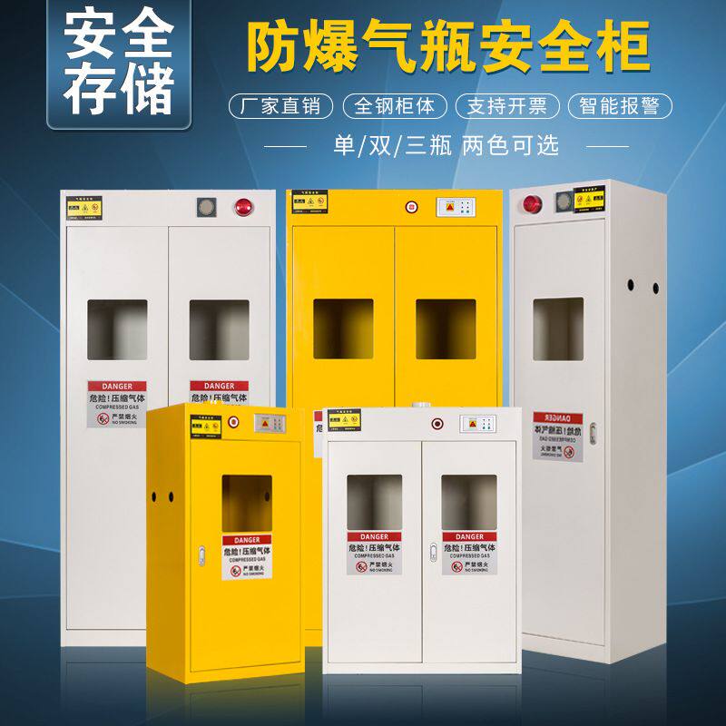 全钢防爆气瓶柜实验室安全双瓶煤气罐乙炔氮气氢气体储存柜带报警