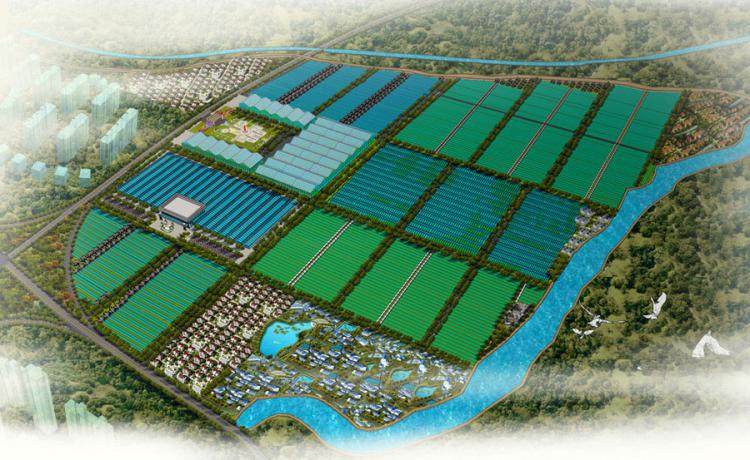 农业生态园设计效果图蔬菜种植园农业种植园农业园鸟瞰图温室大棚