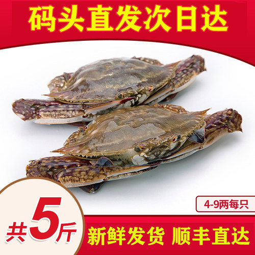 【保鲜不保活】特大舟山梭子蟹新鲜野生大螃蟹白蟹新鲜海鲜水产