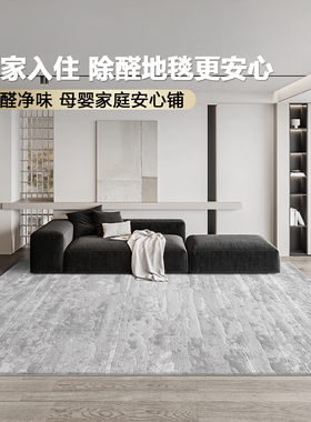新家除醛净味地毯丨古臻客厅轻奢高级感灰色意式极简免洗防水抗污