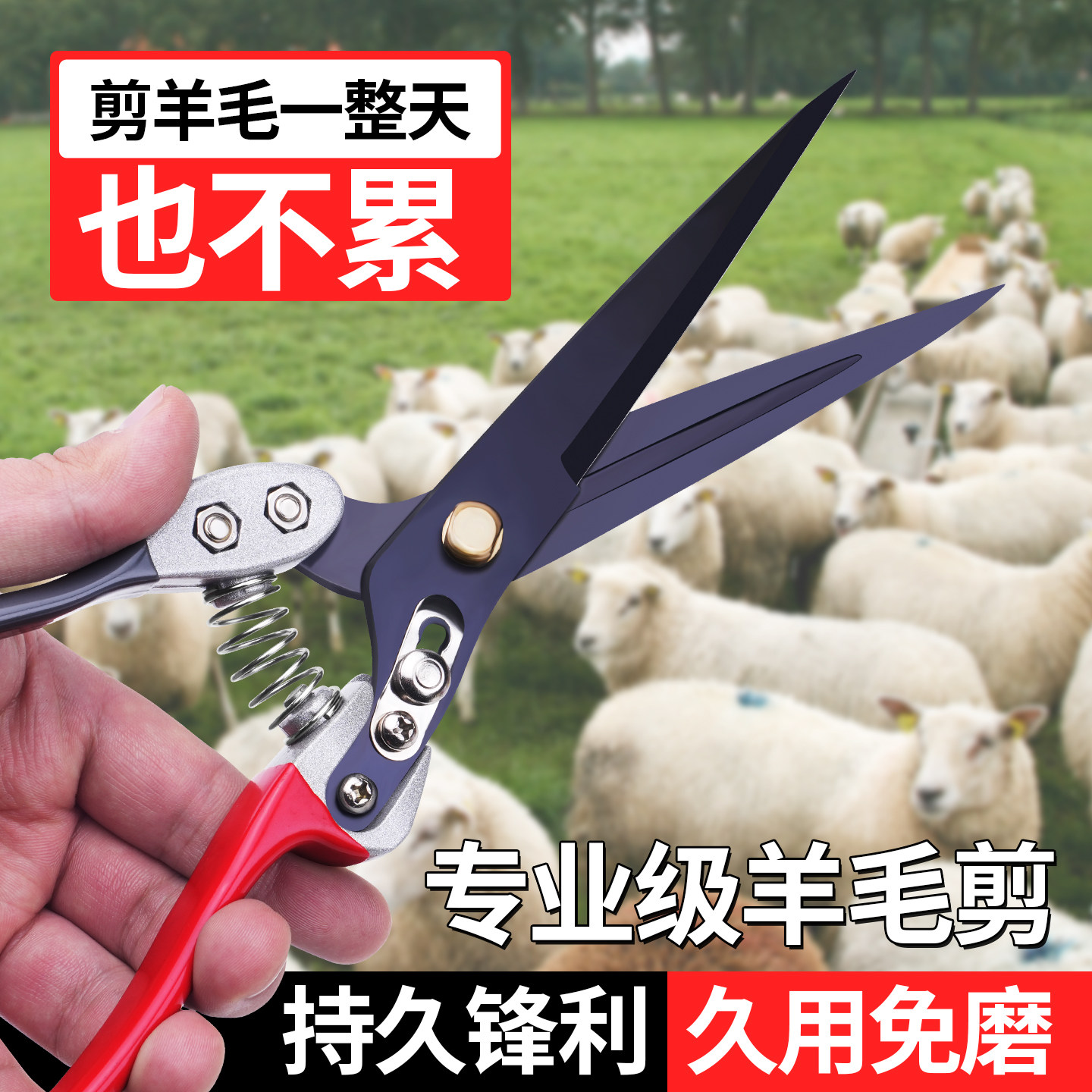 羊毛剪刀手动剪子弹簧小号兔毛猫毛剪家用大号宠物狗毛修毛剪工具,五金/工具,羊毛剪,淘宝优惠券,粉丝福利购,淘宝优惠卷