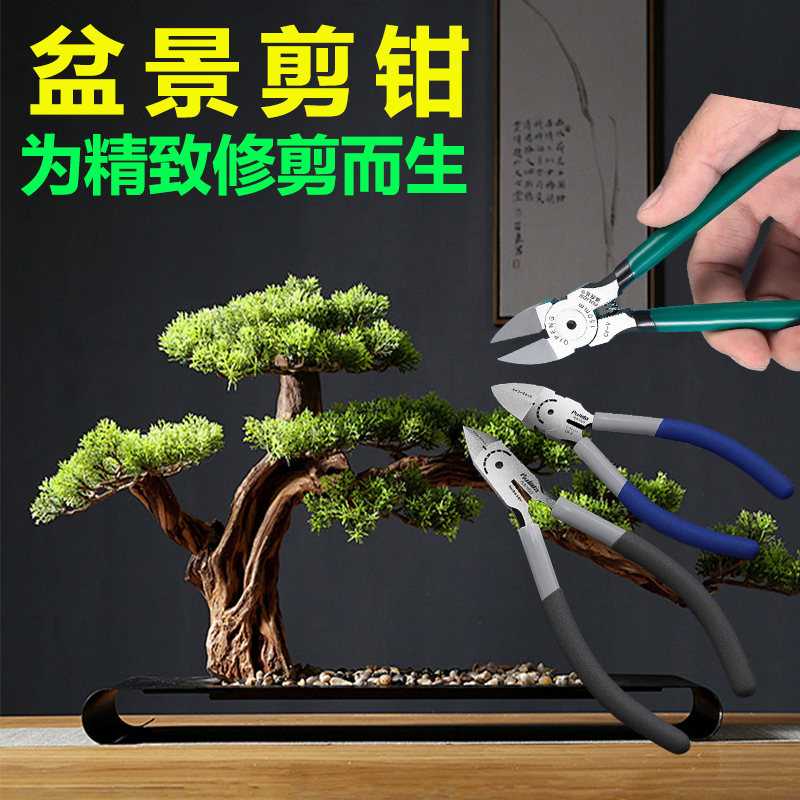 拍5发6，累计售出400000+