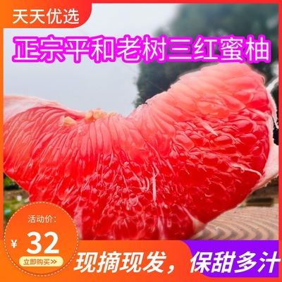 礼盒装漳州平和琯溪老树三红蜜柚