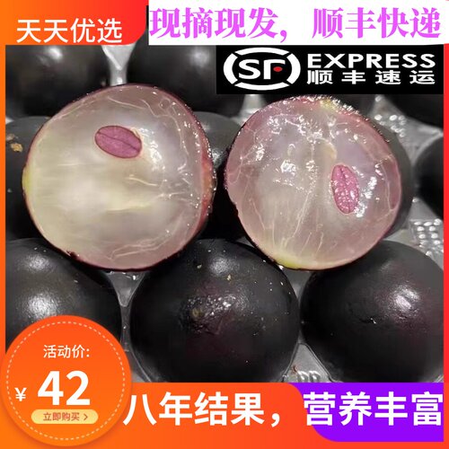 台湾特产顺丰空运嘉宝果树葡萄