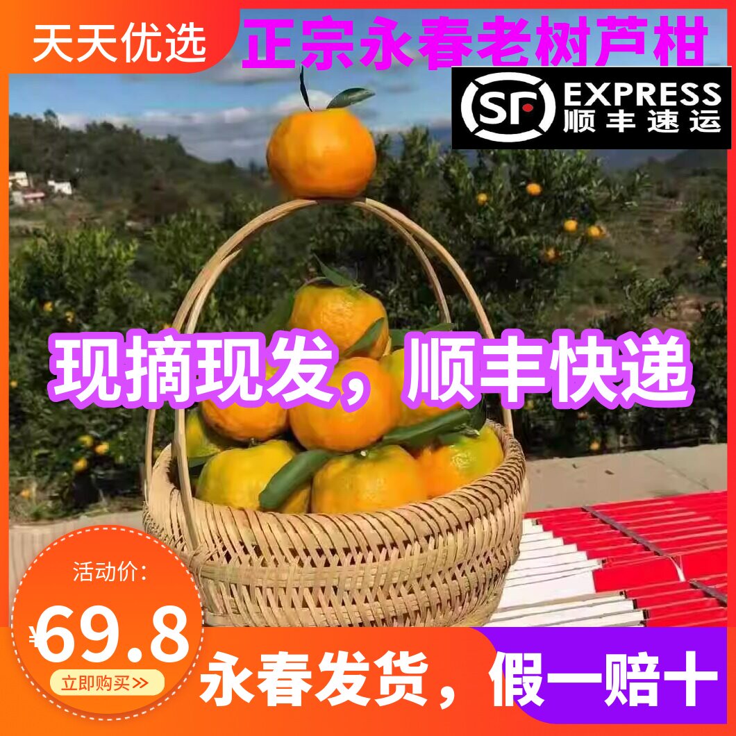 顺丰正宗永春芦柑椪柑孕妇水果