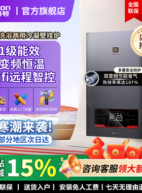 阿诗丹顿冷凝壁挂炉天然气家用采暖炉热水两用地暖电锅炉一级能效