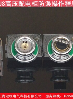 JSN(W)I型防误程序锁 205JS 206JS高压配电柜防误操作程序锁