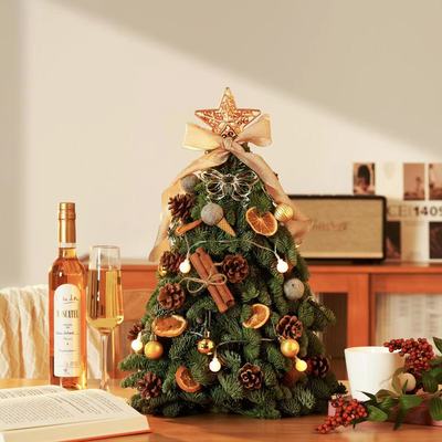 圣诞树真树诺贝松荷兰进口