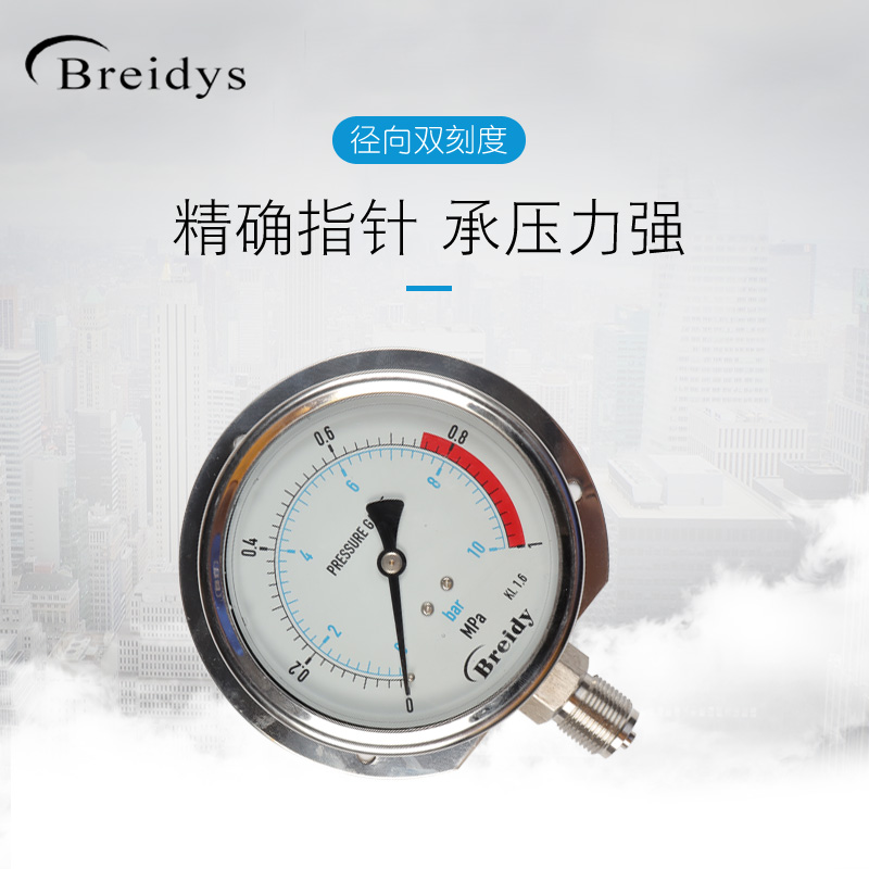 船用压力表YN100T径向带边不锈钢压力表0-1.6MPa水压气压3/8 1/2