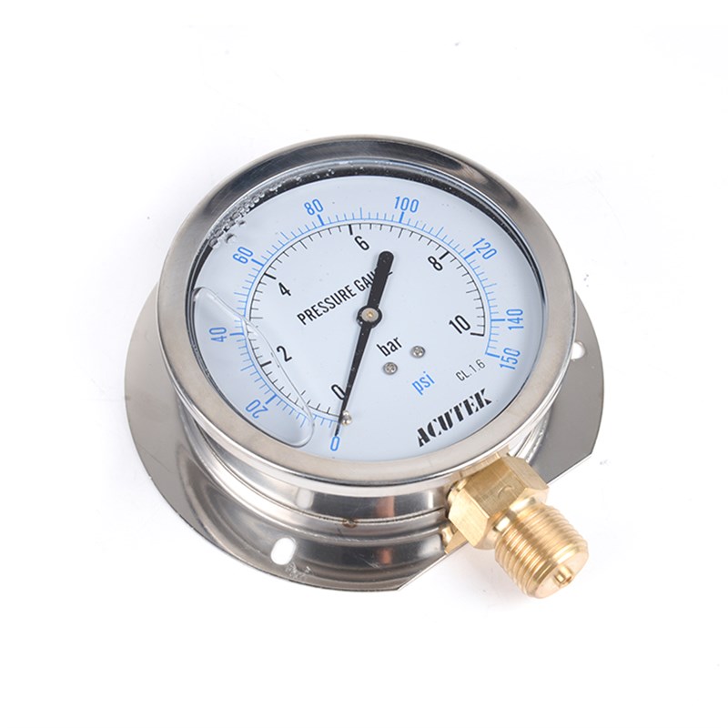 径向带边耐震压力表 YN100T 16bar G1/2 船用 防震 抗震压力表